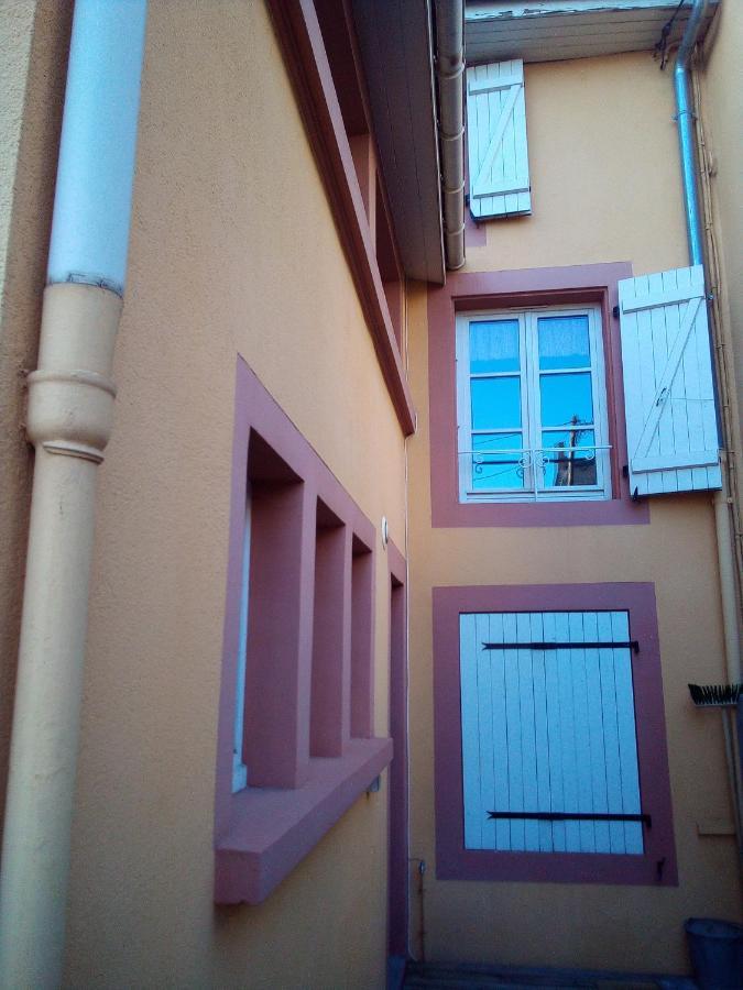 L'Oasis Maisonnette Centre Ville 3 Chambres Terrasse Espace Vert Prive Parc Sainte Croix Center Parc 20 Minutes Sarrebourg Ngoại thất bức ảnh